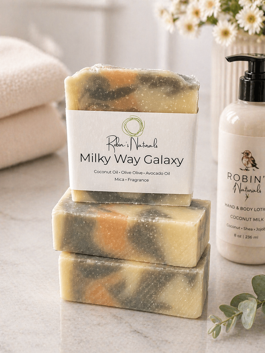 Milk Way Galaxy